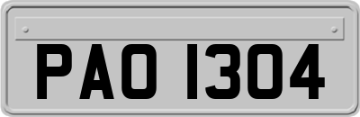 PAO1304