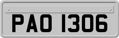 PAO1306