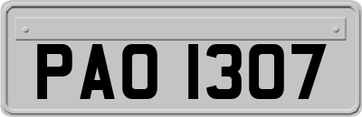 PAO1307