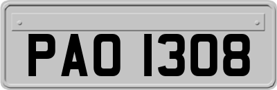 PAO1308