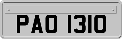 PAO1310
