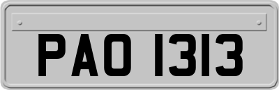 PAO1313
