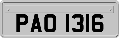 PAO1316