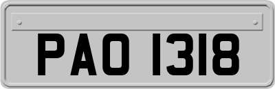PAO1318