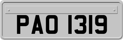 PAO1319