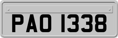 PAO1338