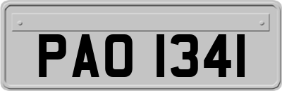 PAO1341