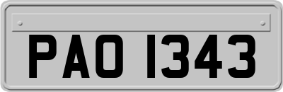 PAO1343