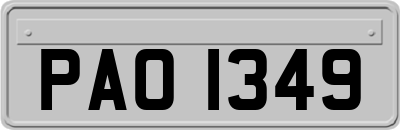 PAO1349