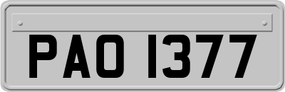 PAO1377