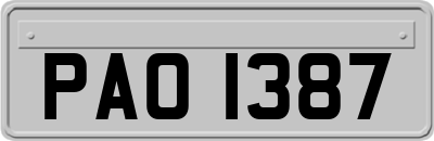 PAO1387