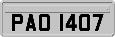 PAO1407