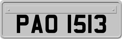 PAO1513