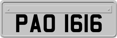 PAO1616
