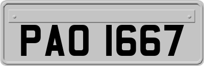 PAO1667