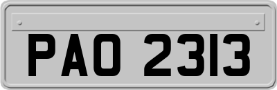 PAO2313