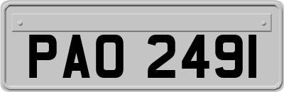 PAO2491