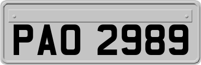 PAO2989