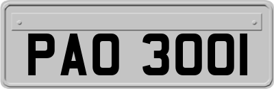 PAO3001