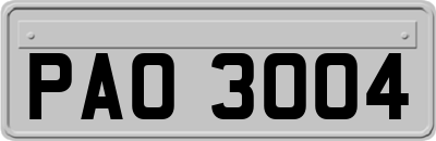PAO3004