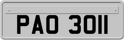PAO3011