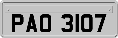 PAO3107