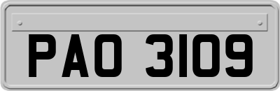 PAO3109