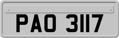 PAO3117