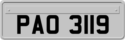 PAO3119