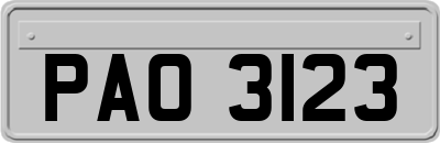 PAO3123