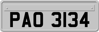 PAO3134