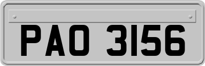 PAO3156