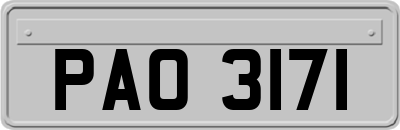 PAO3171