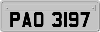 PAO3197