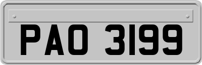 PAO3199