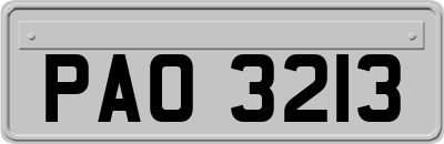 PAO3213