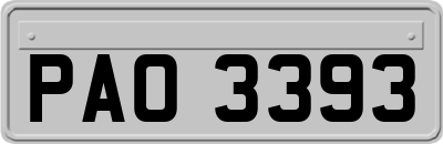 PAO3393