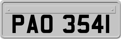 PAO3541