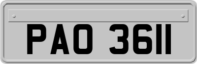 PAO3611