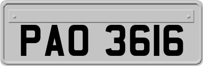PAO3616