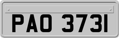 PAO3731