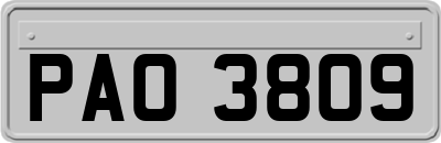 PAO3809