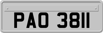 PAO3811