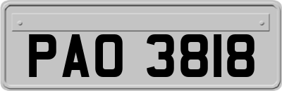 PAO3818