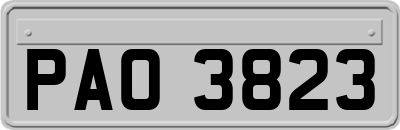 PAO3823