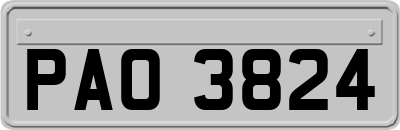 PAO3824