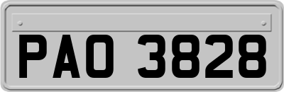 PAO3828