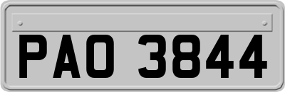 PAO3844