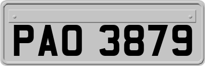 PAO3879