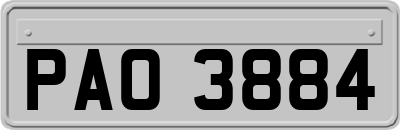 PAO3884